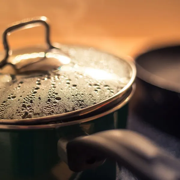 Stainless steel stockpot, 24cm