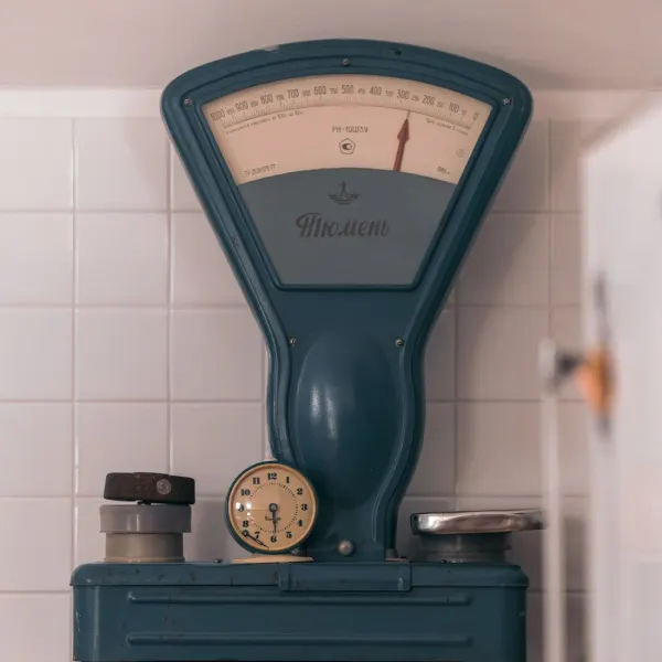 Mechanical kitchen scale